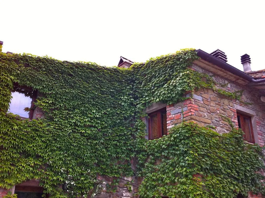 Gospodarstwo agroturystyczne Agriturismo Fattoria Di Gratena Arezzo