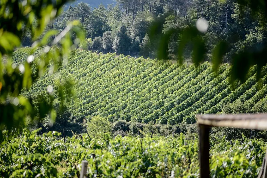 Gospodarstwo agroturystyczne Agriturismo Fattoria Di Gratena Arezzo