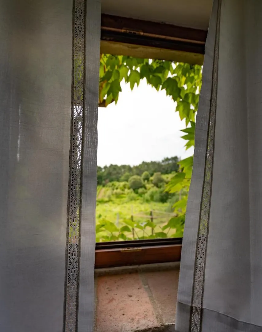 Agriturismo Fattoria Di Gratena Arezzo Włochy