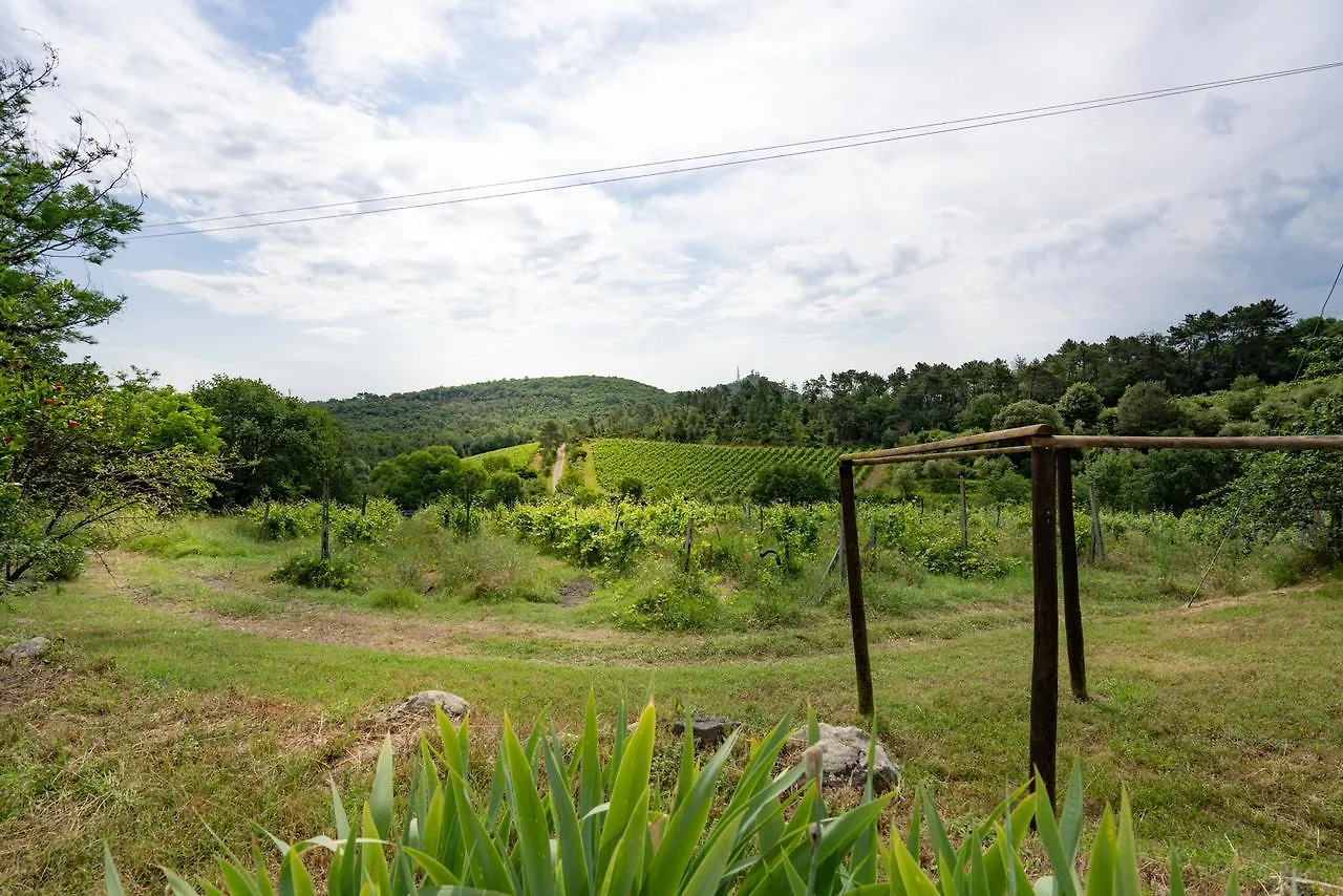 Agriturismo Fattoria Di Gratena Arezzo Farm stay